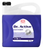 801738 Sintec Dr. Active 