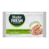 С0008238 Master FRESH Мыло хозяйственное с желчью от всех видов пятен 90г