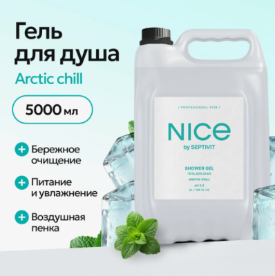 338_5 NICE by SEPTIVIT Гель для душа Arctic Chill, 5л 1шт/кор.